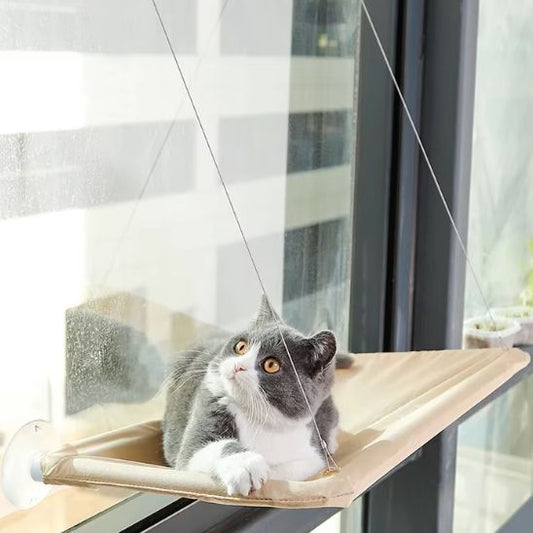 hamac pour chat | L'importance de stimuler votre chat !