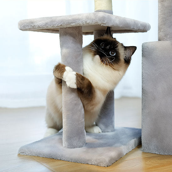 chat aux yeux bleus agrippe a un arbre a chat