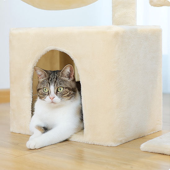 Chat dans son arbre a chat beige