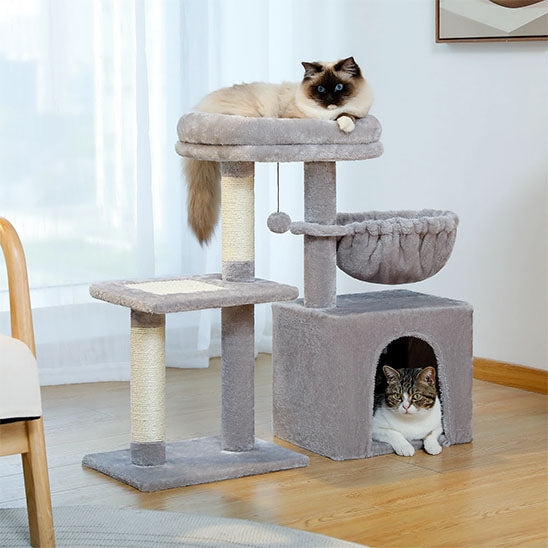 Chat sur un abre a chat en bois