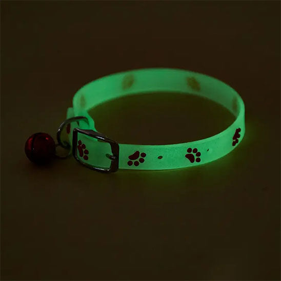 collier pour chat fluo