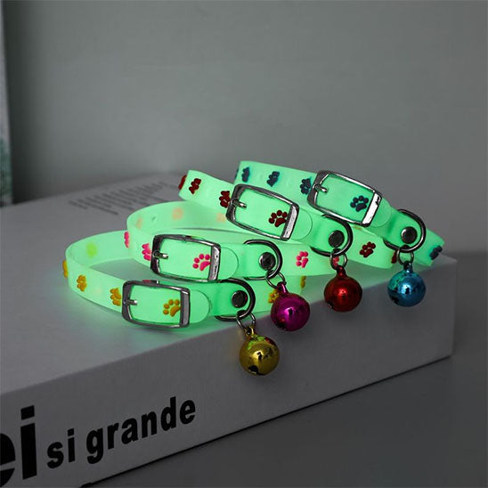 collier pour chat mis en evidence