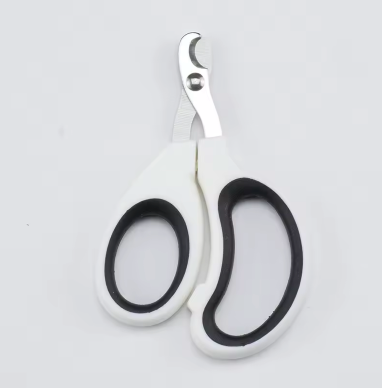 coupe griffe chat blanc et noir
