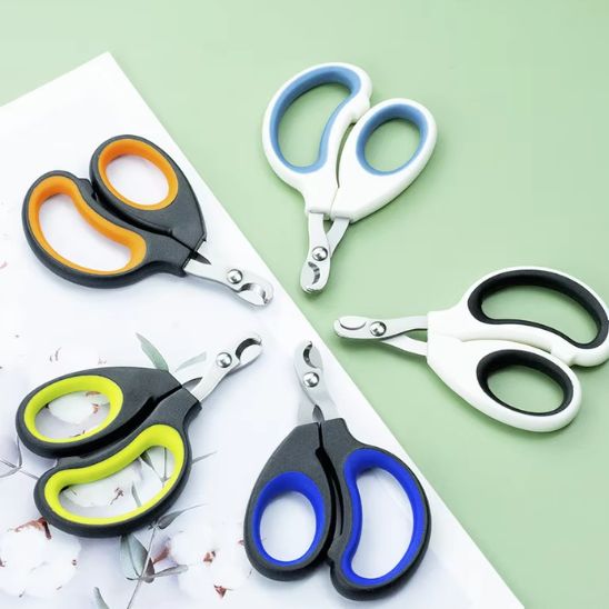 coupe griffe chat en cercle couleur