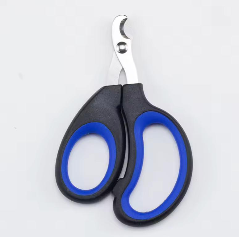 coupe griffe chat noir et bleu