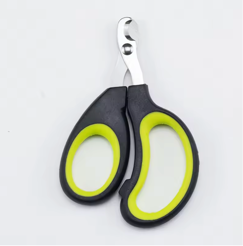 coupe griffe chat noir et jaune