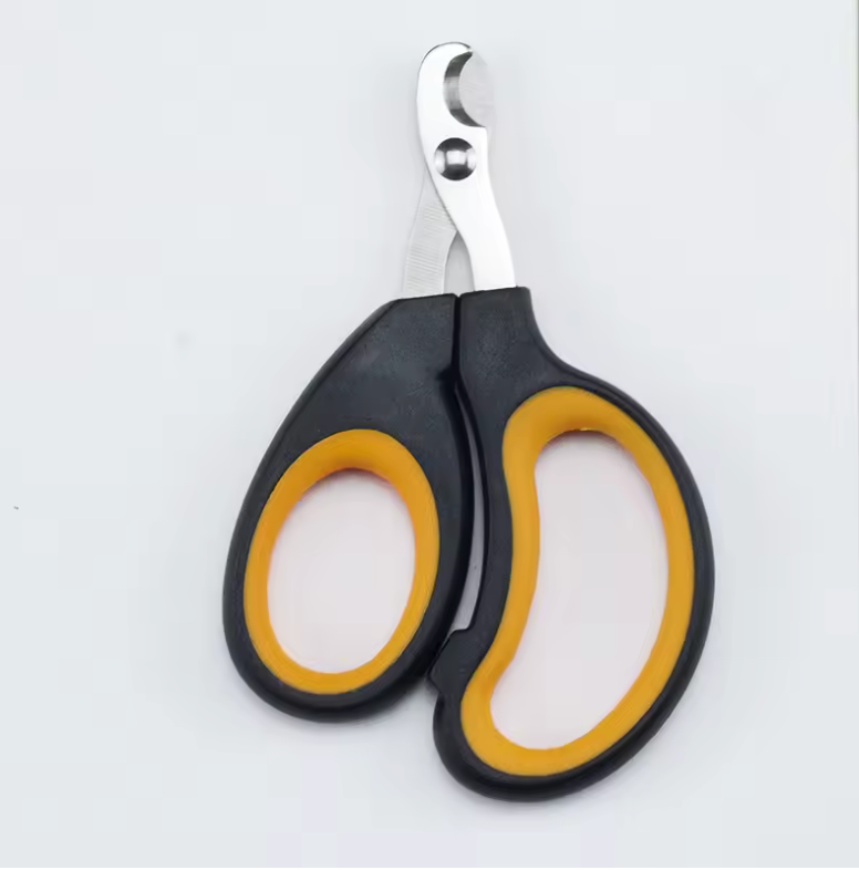 coupe griffe chat noir et orange