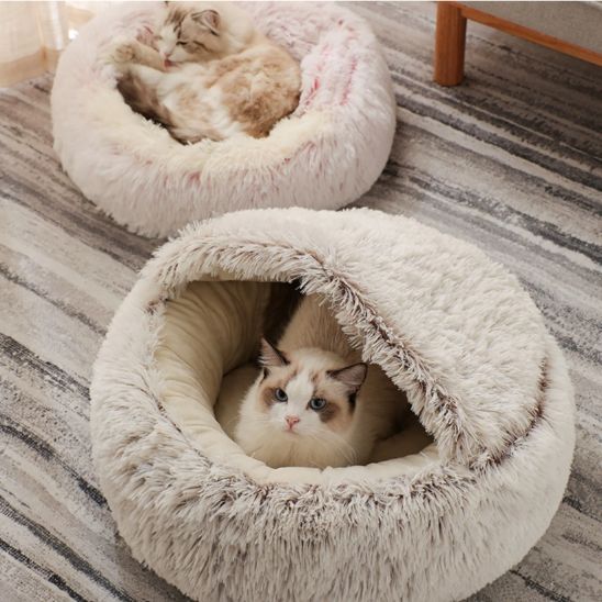 lit pour chat avec deux chats