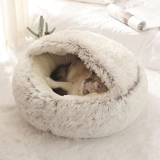 lit pour chat plan rapprocher