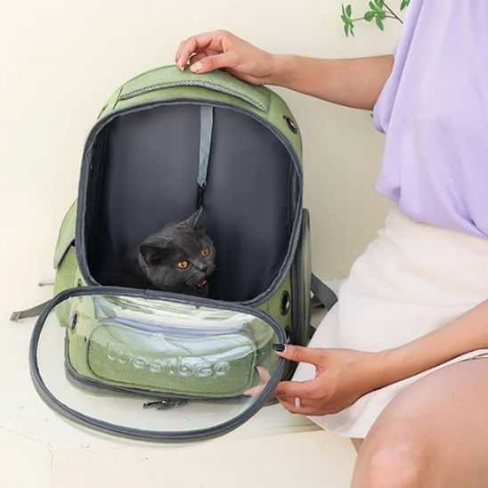 sac de transport chat avec un chat noir