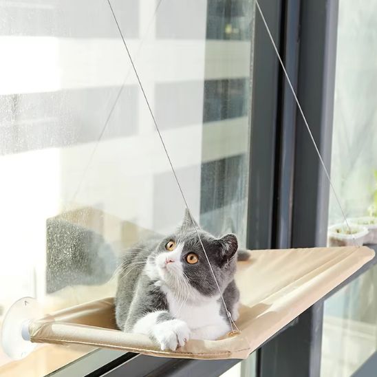 hamac pour chat | L'importance de stimuler votre chat !
