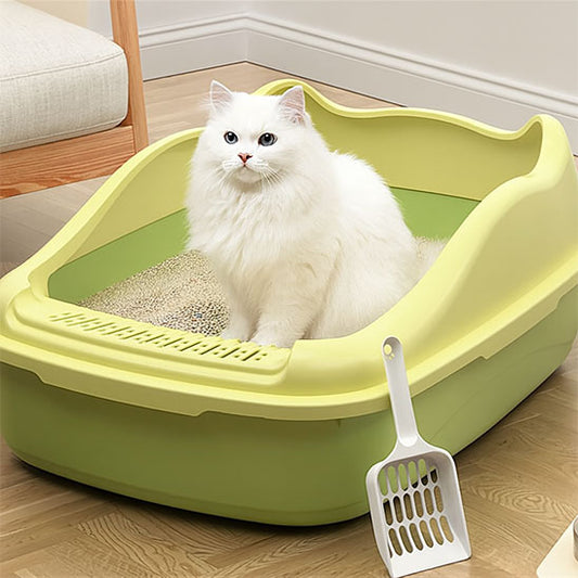 bac a litiere chat avec chat dedans