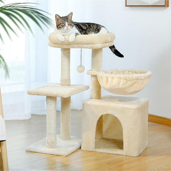 Chat sur son arbre a chat en bois
