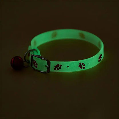 collier pour chat fluo