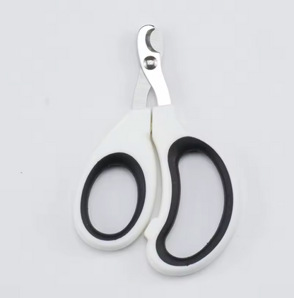 coupe griffe chat blanc et noir