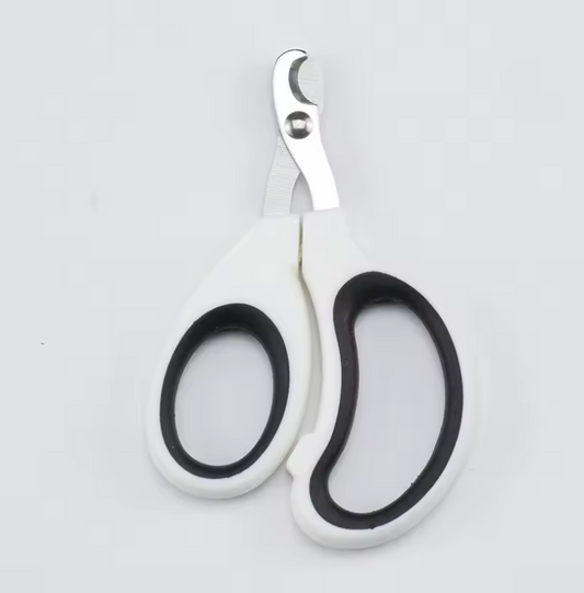 coupe griffe chat blanc et noir