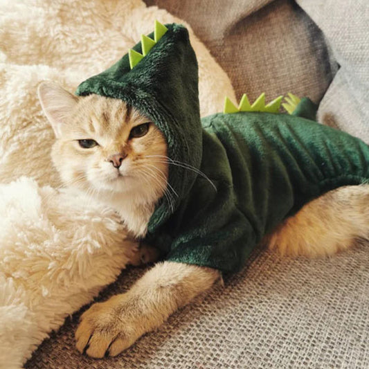 deguisement pour chat dinosaure