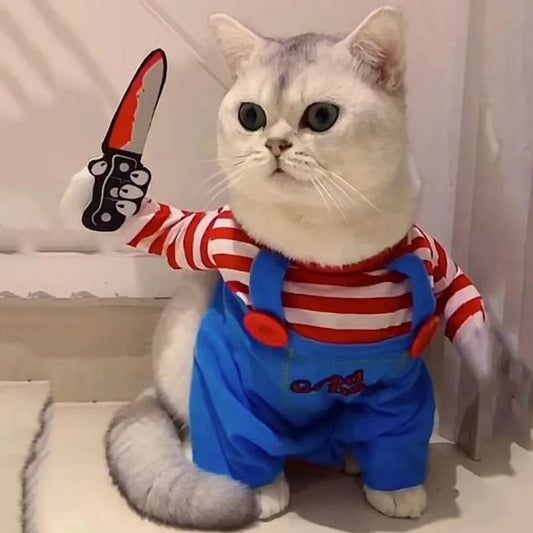 deguisement pour chat drole
