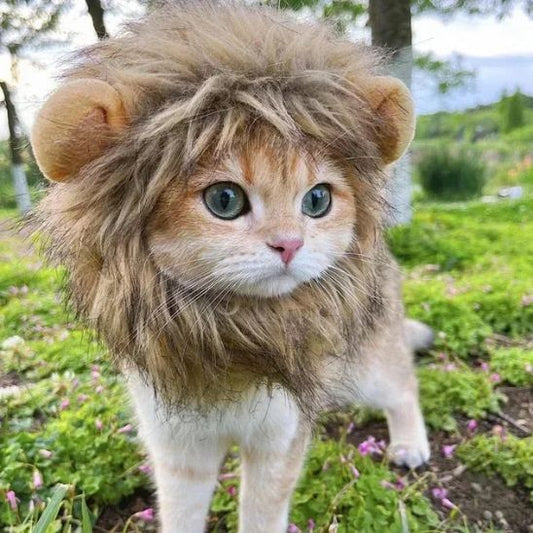 deguisement pour chat lion