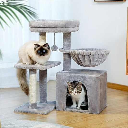 deux chats sur arbre a chat gris avec hamac