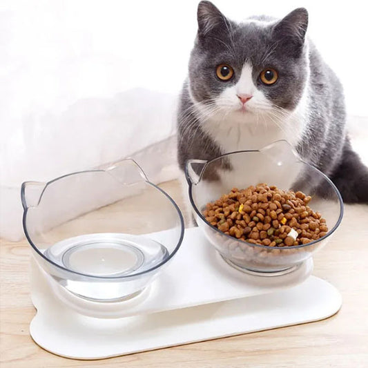 gamelle chat avec chat qui nous regarde