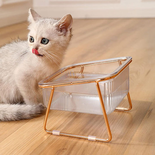 gamelle chat avec chaton qui regarde-sur le cote