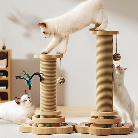 griffoir chat avec trois chats qui jouent