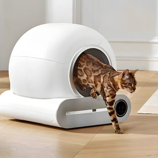 bac à litière chat | Tonepie™