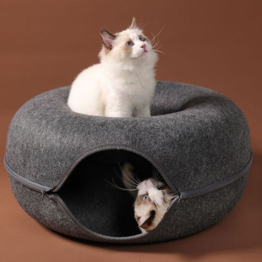 lit pour chat avec chat dessus