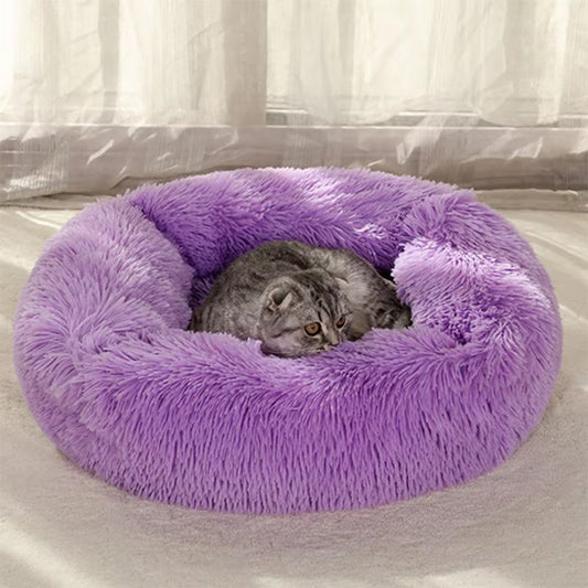 lit pour chat violet en peluche