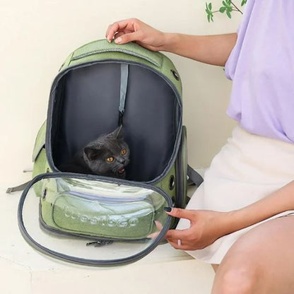 sac de transport chat avec un chat noir