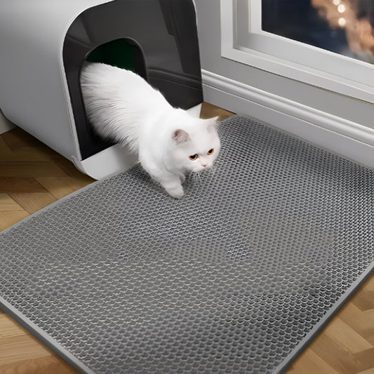 tapis litiere chat avec chat dessus